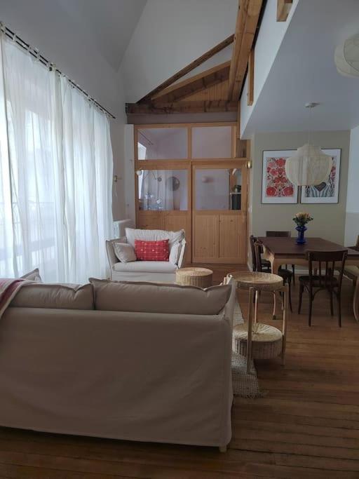 Magnifique Appartement Le Nid Des Thermes Bagnères-de-Bigorre Dış mekan fotoğraf