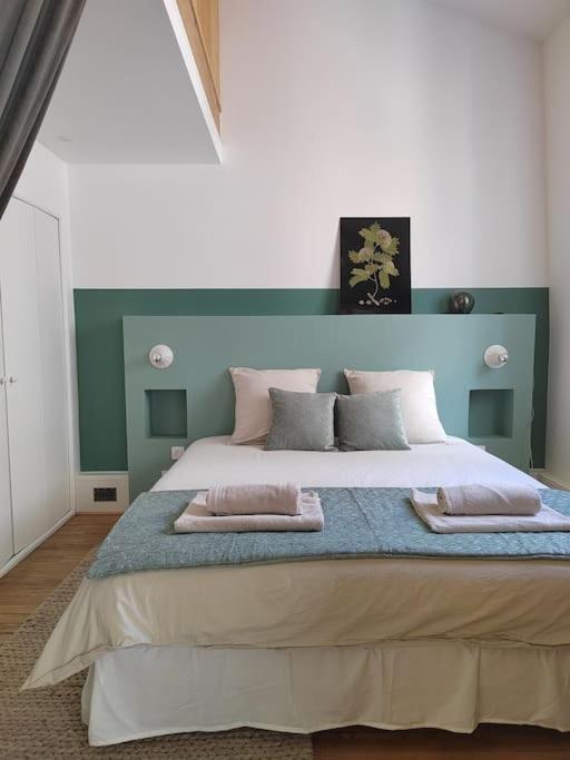 Magnifique Appartement Le Nid Des Thermes Bagnères-de-Bigorre Dış mekan fotoğraf